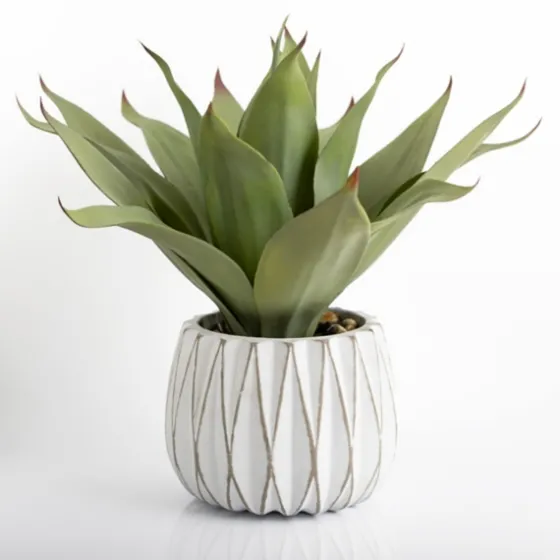 Agave Succulent In White Pot-Kirkland's Home Clearance
