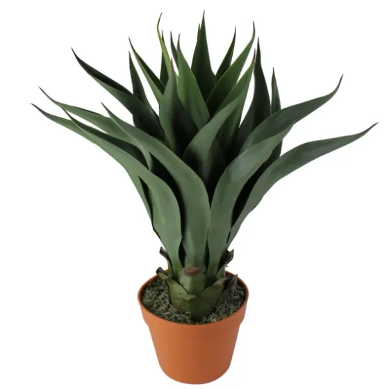 Agave Succulent Plant In Terracotta Planter-Kirkland's Home Flash Sale