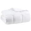 Antimicrobial Down Alternative King Comforter-Kirkland's Home Fashion