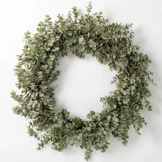 Baby Spiral Eucalyptus Wreath-Kirkland's Home New