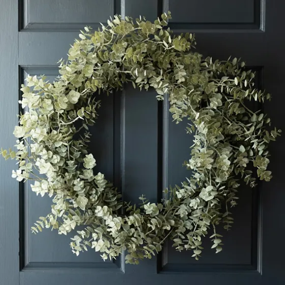 Baby Spiral Eucalyptus Wreath-Kirkland's Home New