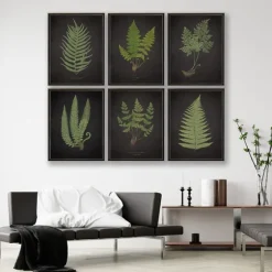 Black Fern I Framed Art Print-Kirkland's Home Shop