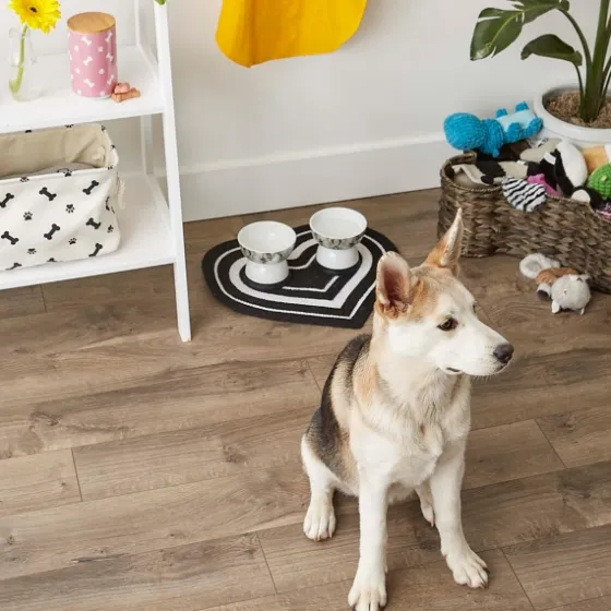 Black Striped Heart Pet Bowl Mat-Kirkland's Home Cheap