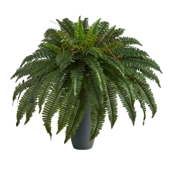 Boston Fern In Oblong Gray Planter-Kirkland's Home Sale