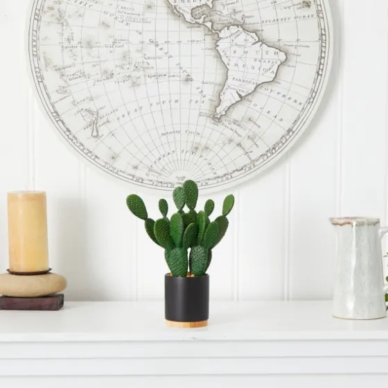 Bunny Ear Cactus In Black Mod Planter-Kirkland's Home Best Sale