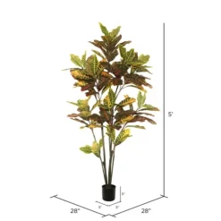Colorful Croton Tree In Black Planter, 5 Ft.-Kirkland's Home Flash Sale