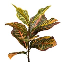 Colorful Croton Tree In Black Planter, 7 Ft.-Kirkland's Home Outlet