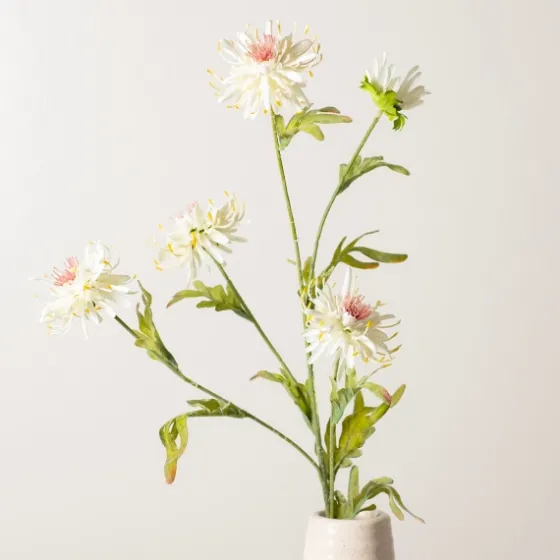 Cream Wild Daisy Stem-Kirkland's Home Sale