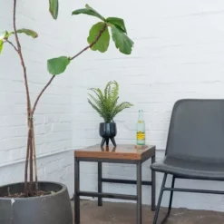 Desktop Palm Plant In Black Planter-Kirkland's Home Best