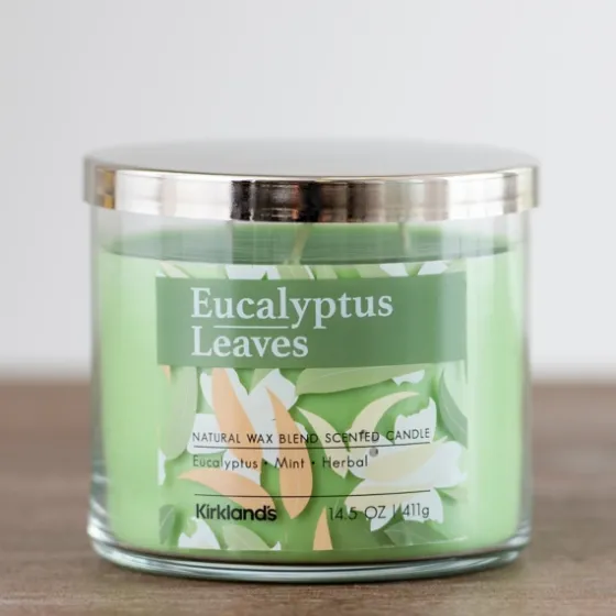 Eucalyptus Leaves 3-Wick Jar Candle-Kirkland's Home Cheap