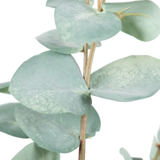 Eucalyptus Sprays, Set Of 3-Kirkland's Home Fashion