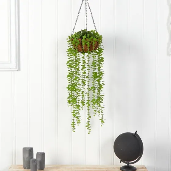 Eucalyptus Vines Hanging Basket-Kirkland's Home Cheap