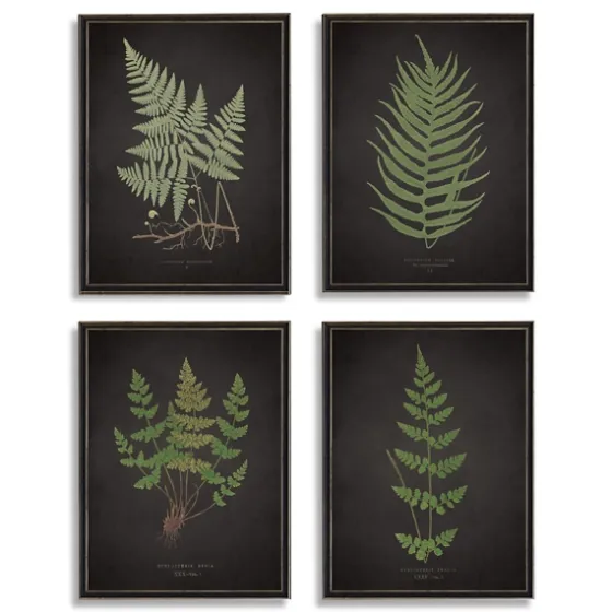 Four Ferns Framed Art Prints, Set Of 4-Kirkland's Home Hot