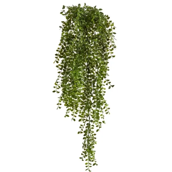Gledistias In Hanging Metal Baskets, Set Of 2-Kirkland's Home Sale