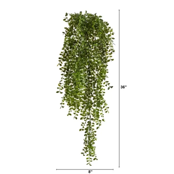 Gledistias In Hanging Metal Baskets, Set Of 2-Kirkland's Home Sale
