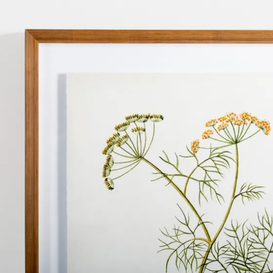 Golden Leaves Herbs Dill Framed Art Print-Kirkland's Home Flash Sale