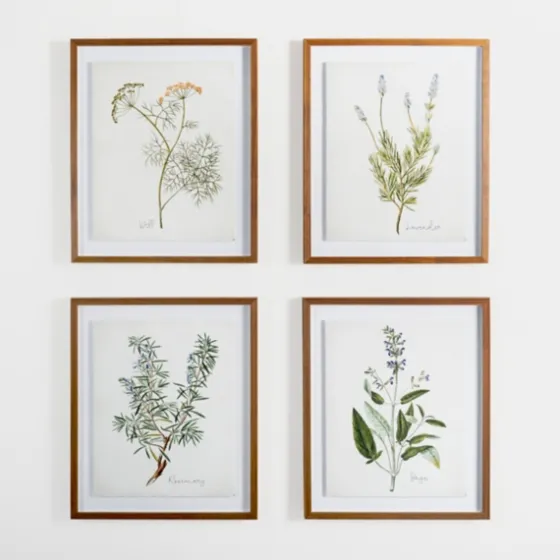 Golden Leaves Herbs Rosemary Framed Art Print-Kirkland's Home Discount