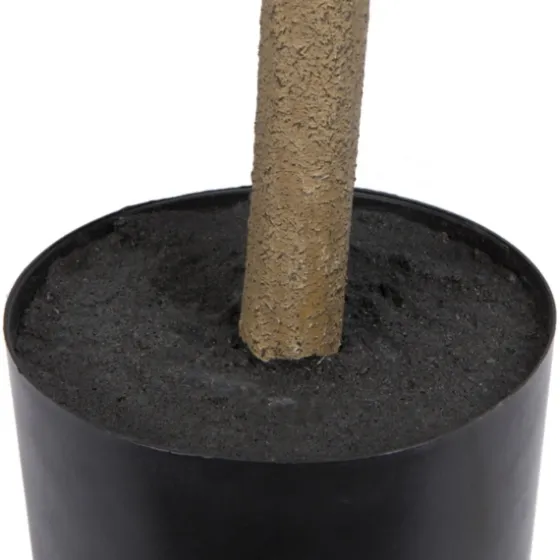 Green Nandina Tree In Black Planter-Kirkland's Home Cheap