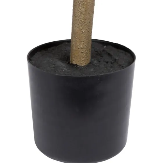 Green Nandina Tree In Black Planter-Kirkland's Home Cheap
