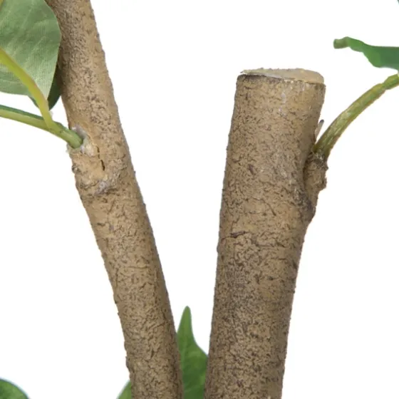 Green Nandina Tree In Black Planter-Kirkland's Home Cheap
