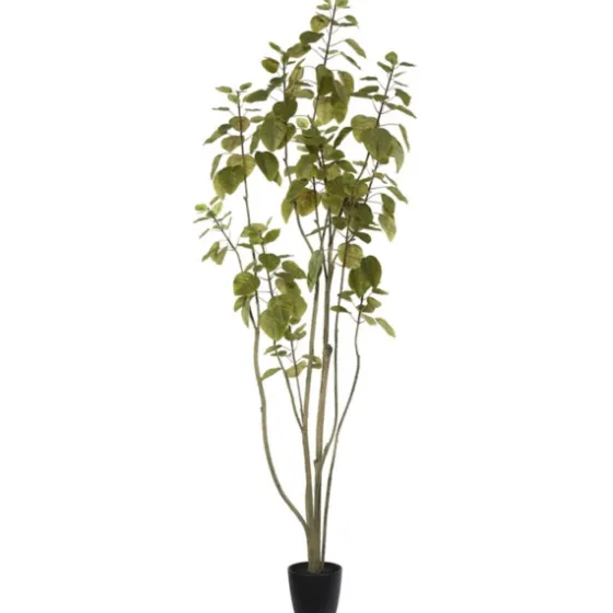 Green Potted Cotinus Coggygria Tree, 6 Ft.-Kirkland's Home Cheap