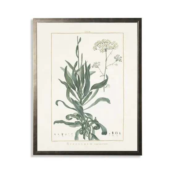 Greenery Botanical Ii Pewter Framed Art Print-Kirkland's Home Outlet