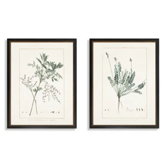 Greenery I Framed Art Prints, Set Of 2-Kirkland's Home Shop