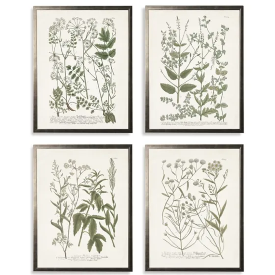 Greenery On Cream Back Framed Art Prints, Set Of 4-Kirkland's Home Cheap