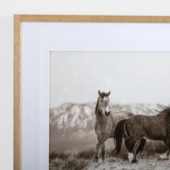 Horse Friends Framed Art Print-Kirkland's Home Flash Sale