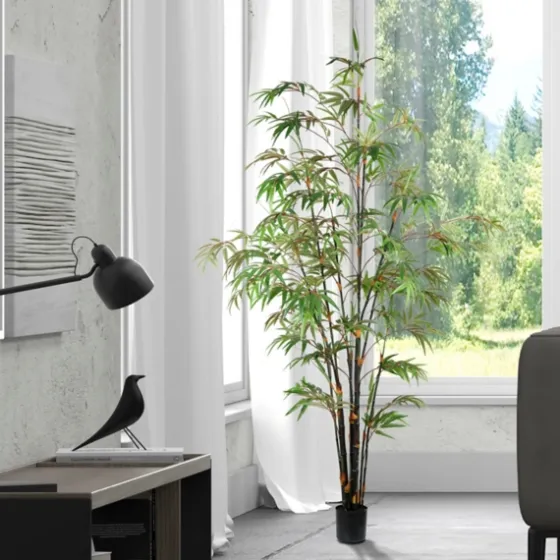 Japanese Bamboo Tree In Black Planter, 6 Ft.-Kirkland's Home Cheap