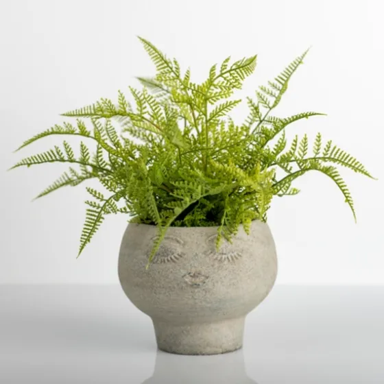 Lace Fern Plant In Face Planter-Kirkland's Home Shop
