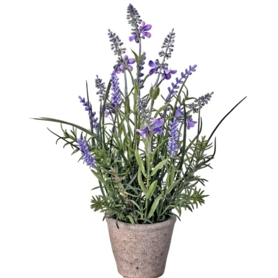 Lavender Plant In Speckled Cement Planter-Kirkland's Home Fashion