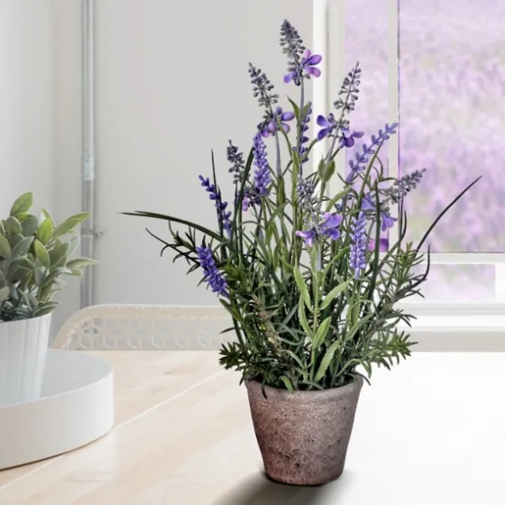 Lavender Plant In Speckled Cement Planter-Kirkland's Home Fashion