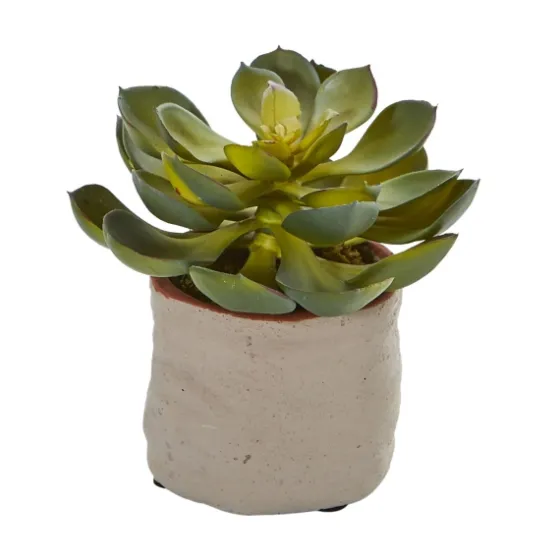 Mixed Succulent Arrangements, Set Of 4-Kirkland's Home Hot