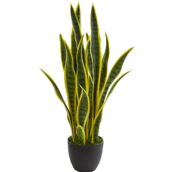 Modern Potted Laurentii Snake Plant-Kirkland's Home Fashion