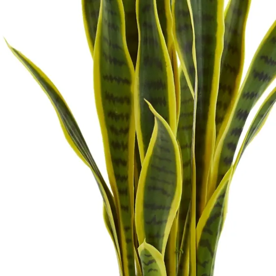 Modern Potted Laurentii Snake Plant-Kirkland's Home Fashion