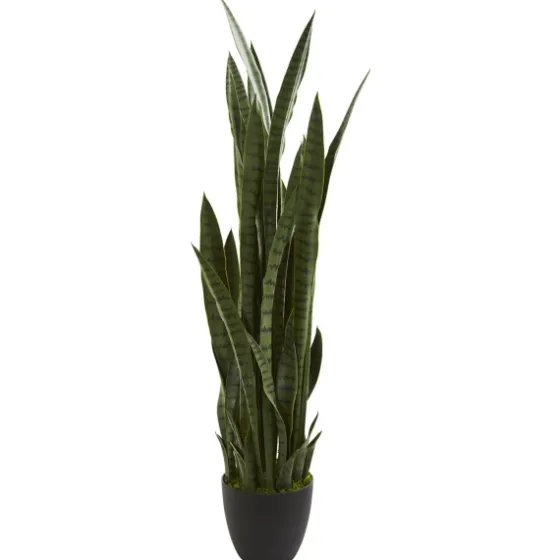 Modern Potted Tri Snake Plant-Kirkland's Home Fashion