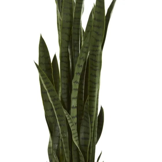 Modern Potted Tri Snake Plant-Kirkland's Home Fashion
