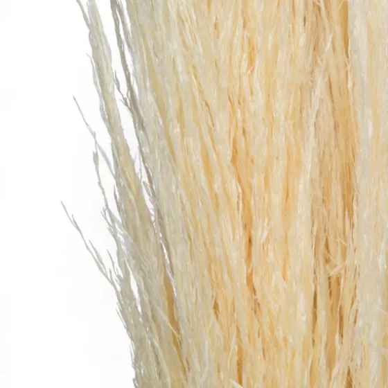 Natural Bleached Pampas Grass Stems, Set Of 6-Kirkland's Home Best Sale