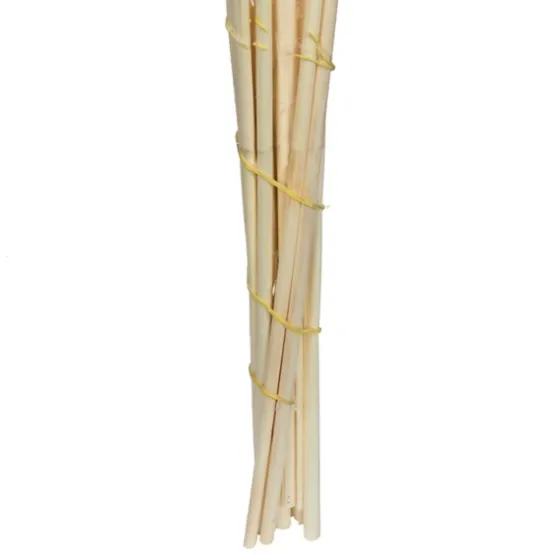 Natural Bleached Pampas Grass Stems, Set Of 6-Kirkland's Home Best Sale