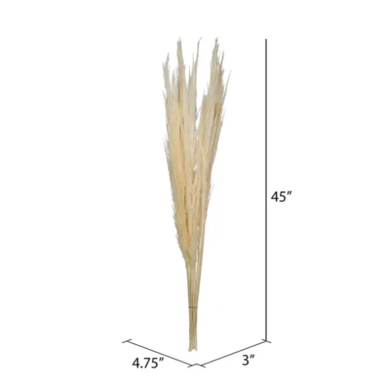 Natural Bleached Pampas Grass Stems, Set Of 6-Kirkland's Home Best Sale