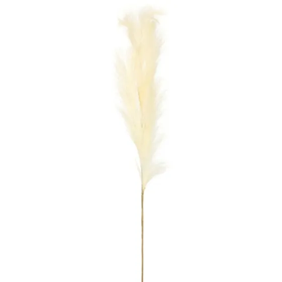 Natural Cream Pampas Grass Stems, Set Of 4-Kirkland's Home Shop