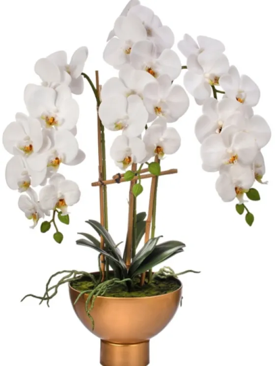 Orchid Arrangement In Gold Pot, 25 In.-Kirkland's Home Discount