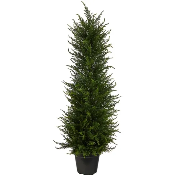 Outdoor Cypress Tree In Black Nursery Planter-Kirkland's Home New