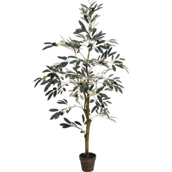 Potted Olive Tree, 4 Ft.-Kirkland's Home Flash Sale