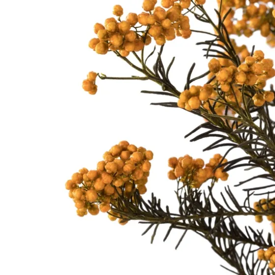 Preserved Aspen Rice Flower Bundle-Kirkland's Home Best