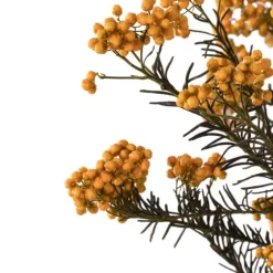 Preserved Autumn Rice Flower Bundle-Kirkland's Home Outlet