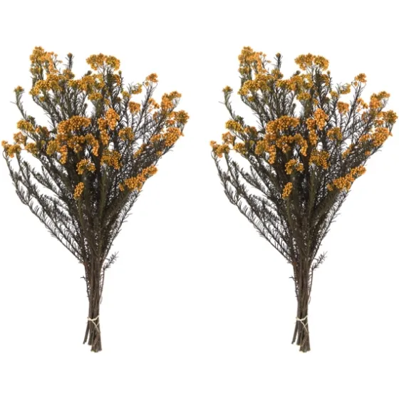 Preserved Autumn Rice Flower Bundle-Kirkland's Home Outlet