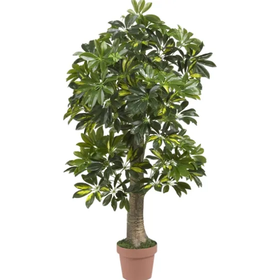 Schefflera Tree In Terra Cotta Planter, 4 Ft.-Kirkland's Home Clearance