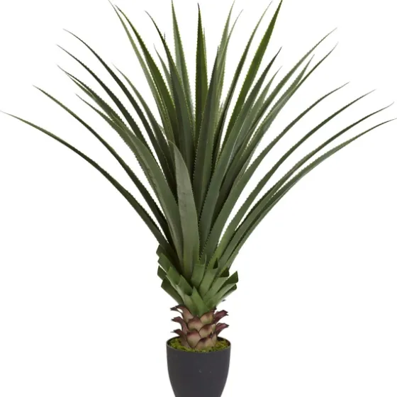 Spiked Agave Plant In Nursery Planter-Kirkland's Home Outlet